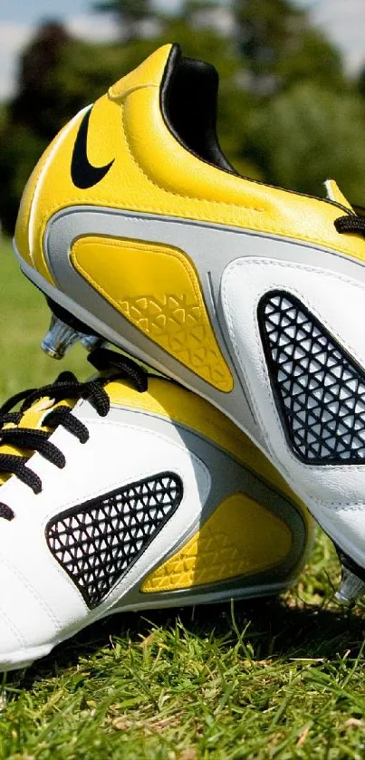 Yellow and white football cleats on green grass field.