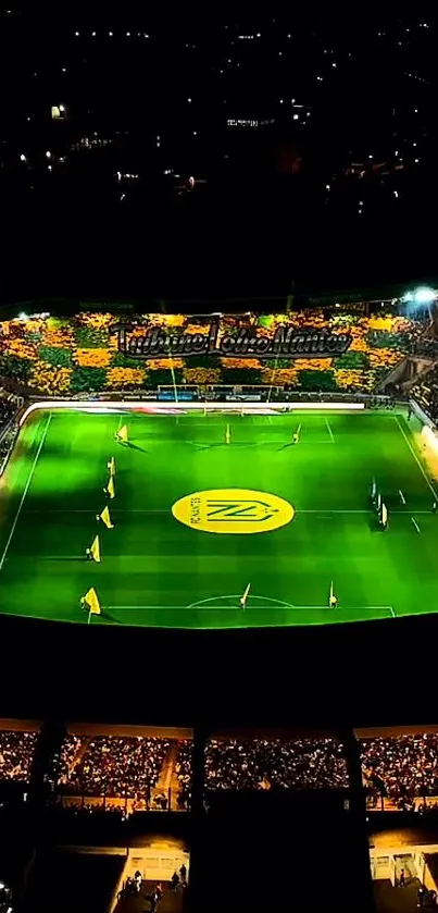 Vibrant nighttime football stadium with glowing green pitch.