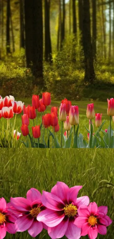 Vibrant mobile wallpaper featuring a forest with tulips and pink flowers.