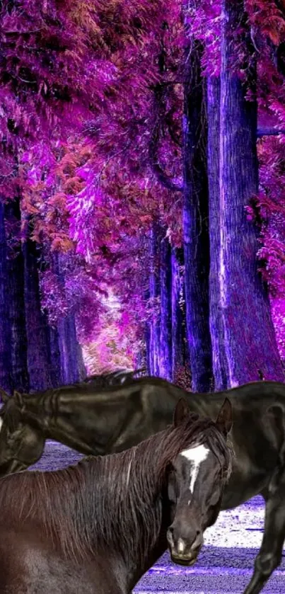 Majestic horses in a purple forest.