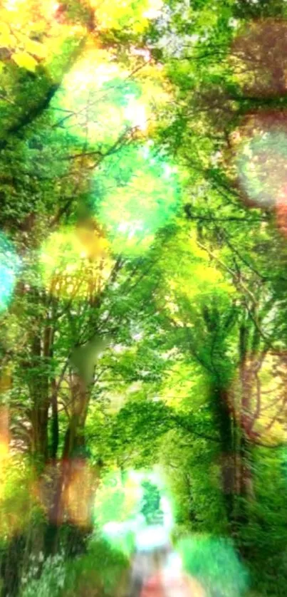 Lush forest path with vibrant light effects and green bokeh, perfect for nature lovers.