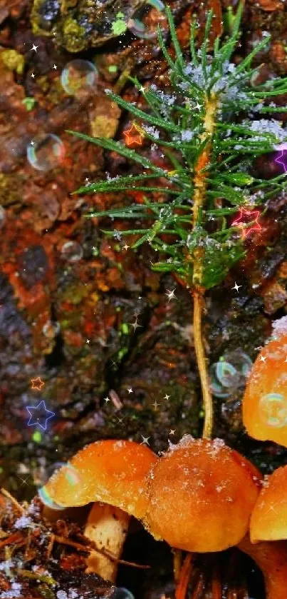 Vibrant mushrooms with frost in a forest setting.
