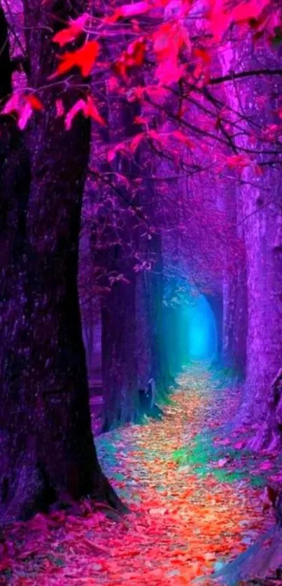 Colorful forest path with vibrant purple and red hues.