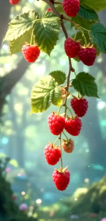 Nature scene with raspberries and lush foliage in a forest setting.