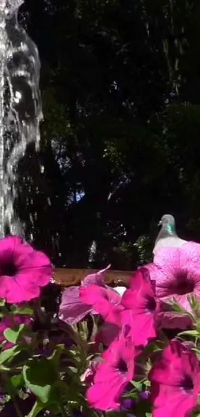 Magenta flowers and fountain in vibrant garden setting.