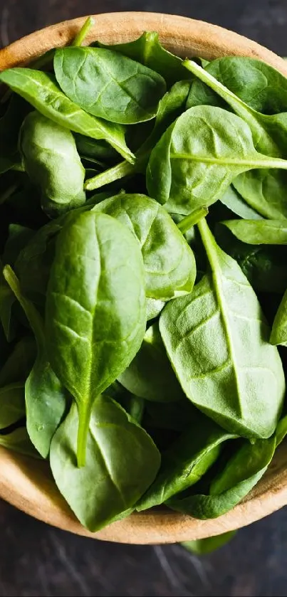 Fresh green spinach leaves in a wooden bowl.