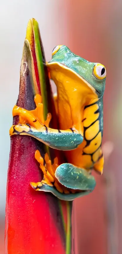 Colorful frog on a vibrant tropical plant, ideal for nature-themed mobile wallpapers.