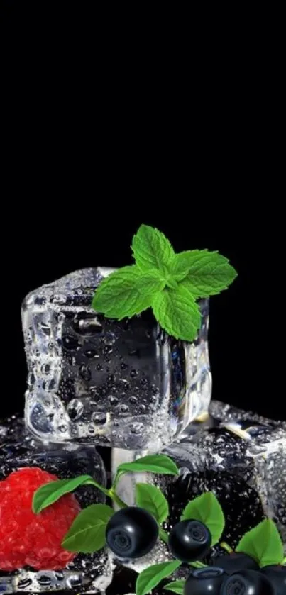 Ice cubes with fruit and mint on a black background.