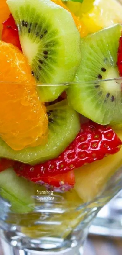 Bright fruit salad wallpaper with kiwi and berries.