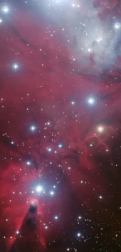 Crimson red nebula with scattered stars in space.