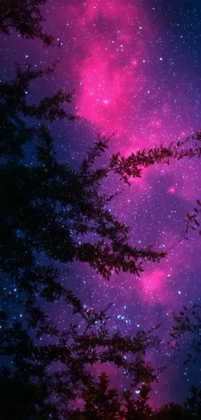 Vibrant pink and purple galaxy night sky with stars and silhouetted trees.