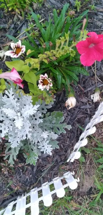 Vibrant floral garden with colorful blooms and greenery.