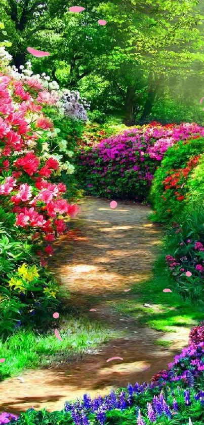 Vibrant garden path with colorful flowers.