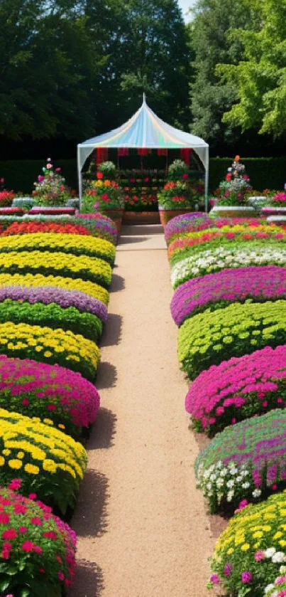 Vibrant garden pathway with colorful flowers and green leaves.