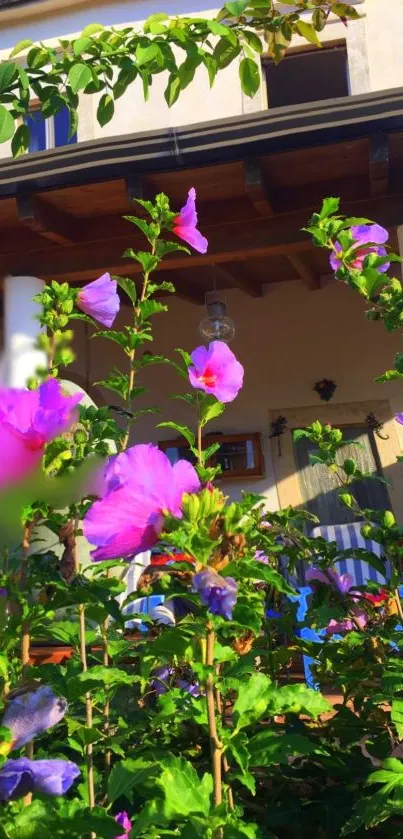 Vibrant garden with blooming flowers and lush greenery under sunlight.