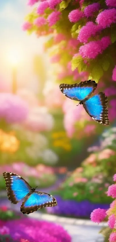 Blue butterflies amidst vibrant pink flowers in a sunlit garden.