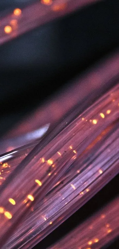 Close-up of pink glowing fiber optic cables on a dark background.