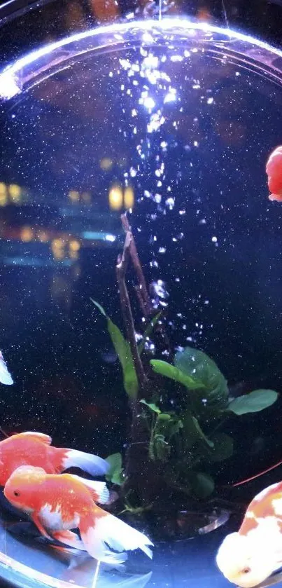 Colorful goldfish swimming in a round aquarium with bubbles.