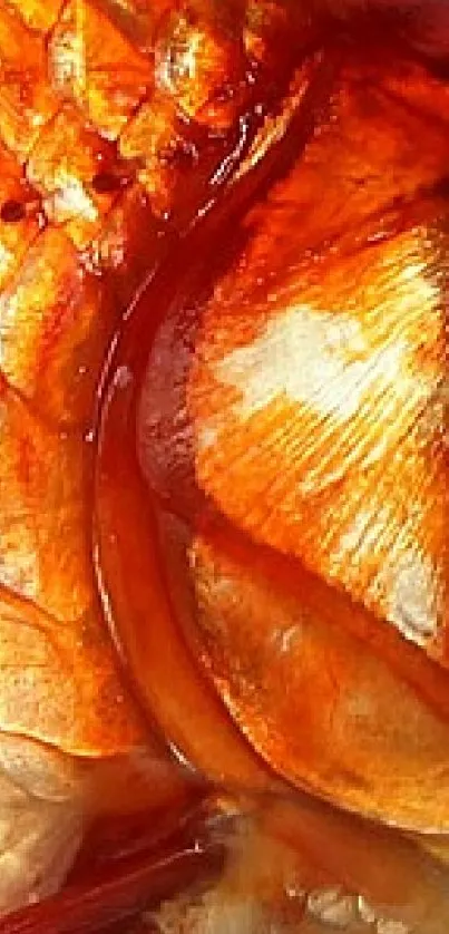 Vibrant goldfish mobile wallpaper with orange hues.