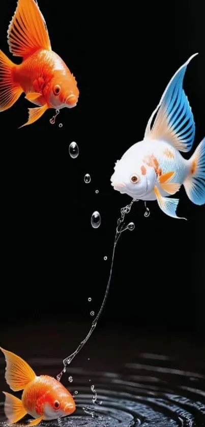 Colorful goldfish swimming with bubbles in dark water wallpaper.