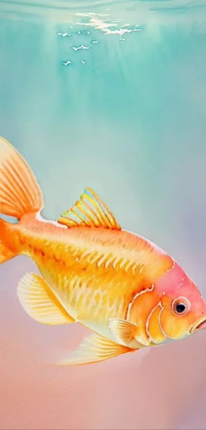 Vibrant orange goldfish swimming in teal water background.