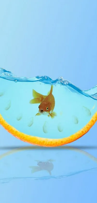 Goldfish swimming in a blue water-filled orange slice on a sky blue background.