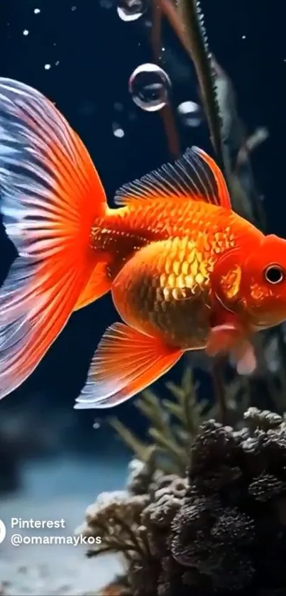 A vibrant orange goldfish swims in a colorful underwater scene.