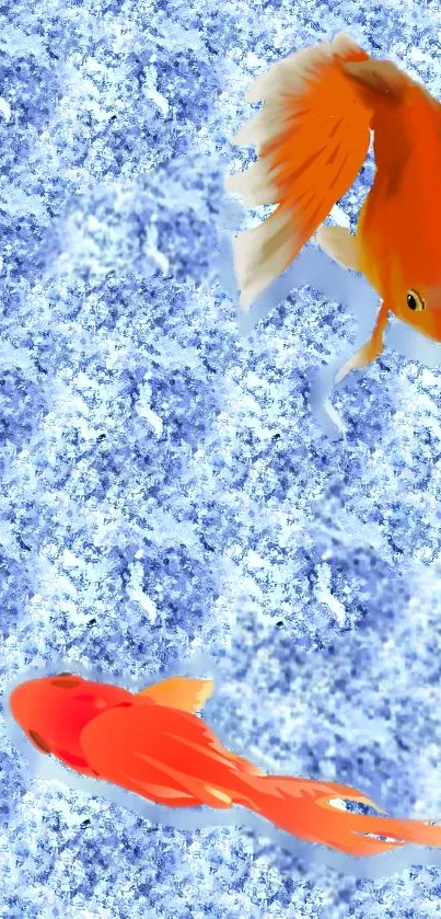 Orange goldfish swimming over a blue textured background.