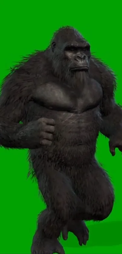 Gorilla on a bold green background wallpaper.