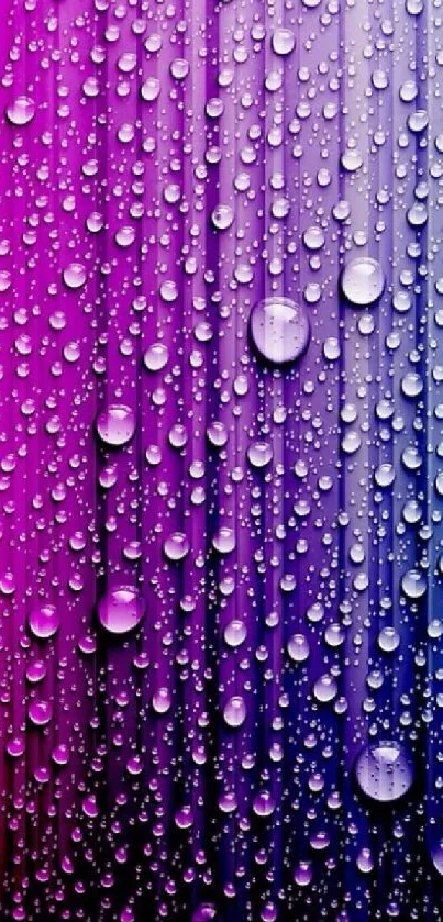 Vibrant gradient wallpaper with bubbles transitioning from pink to blue hues.