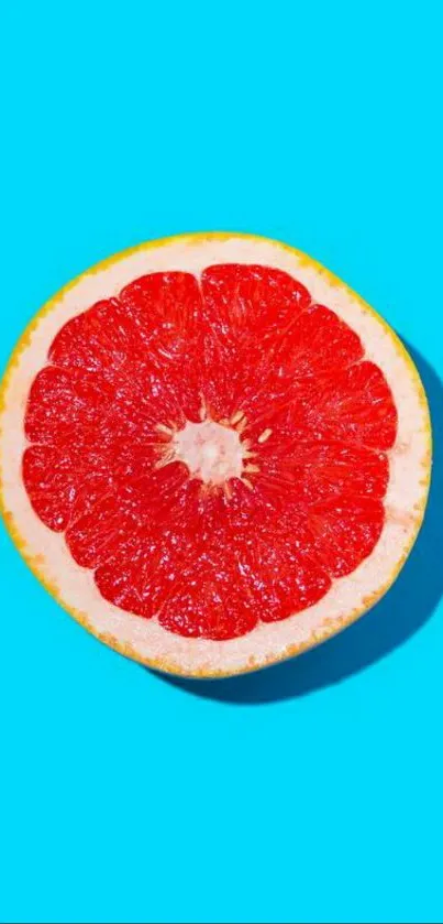 Vibrant grapefruit on bright blue background wallpaper.