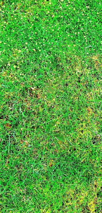 Vibrant green grass texture mobile wallpaper.