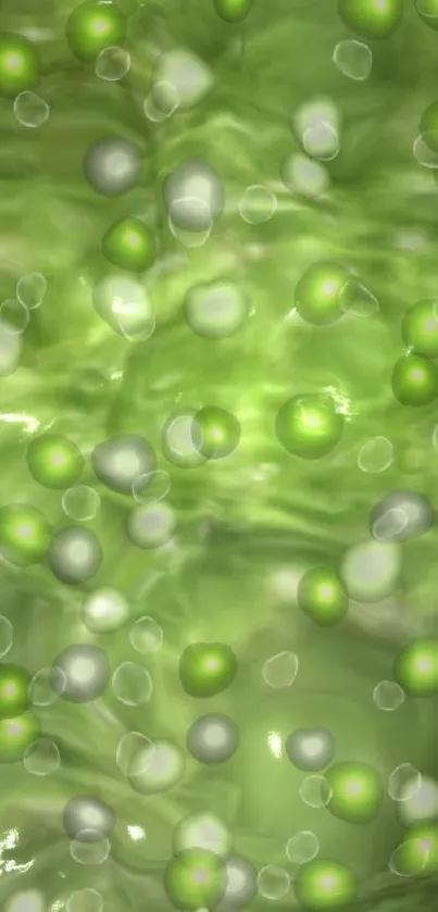 Abstract green wallpaper with bubbles.