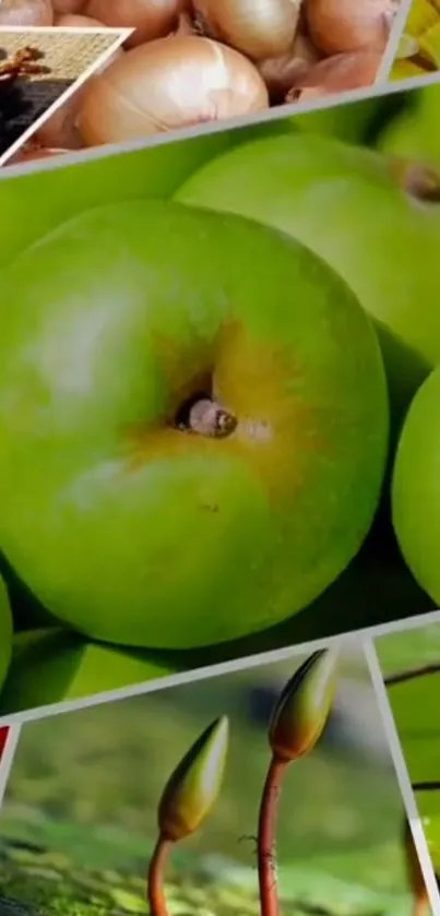 Collage of green apples with nature elements in vibrant hues.