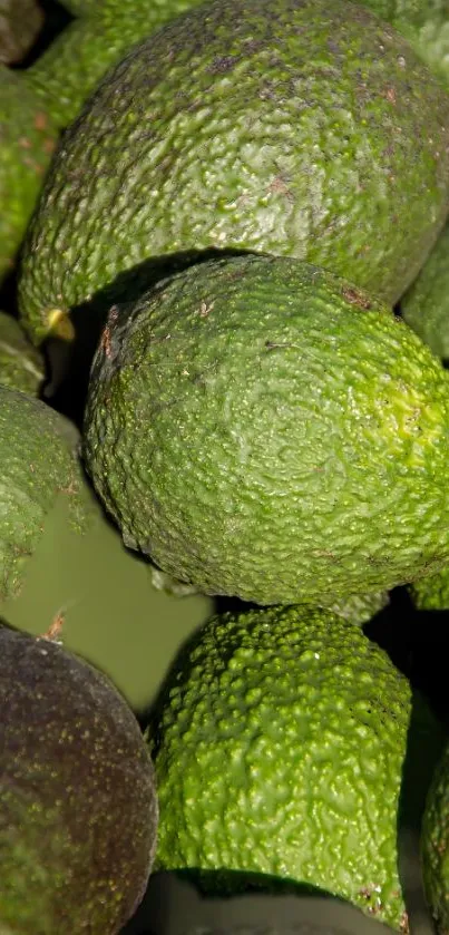 Close-up view of green textured avocados on a mobile phone wallpaper.