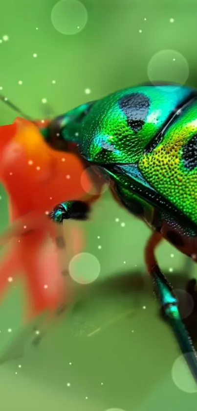 Close-up of a vibrant green beetle on a colorful blurred background.