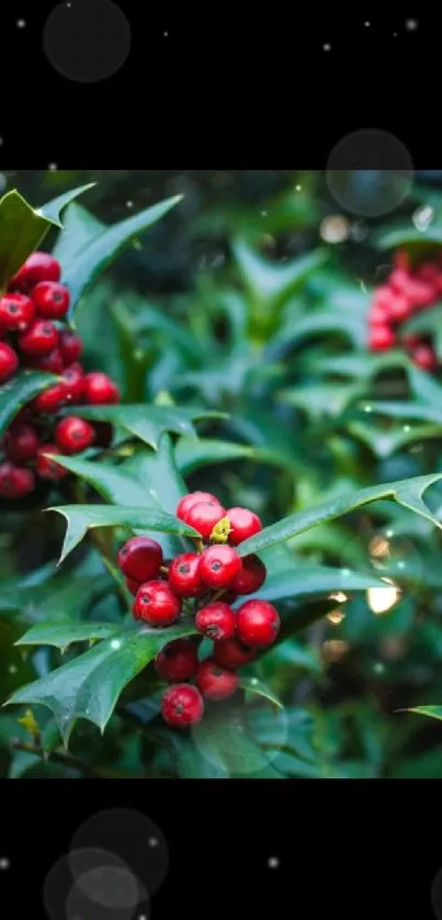 Vibrant green foliage wallpaper with red berries.