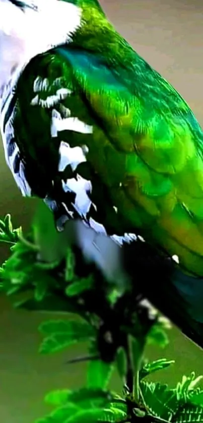 Green and white bird perched on green foliage with vibrant colors.