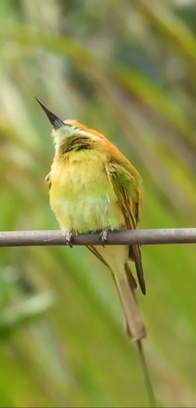 Green bird perched on wire in vibrant nature scene.