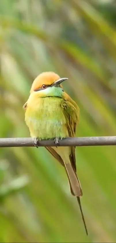 Vibrant green bird perched amidst lush greenery.