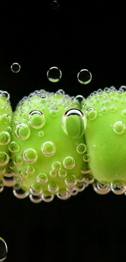 Green peapods in bubbles on black background