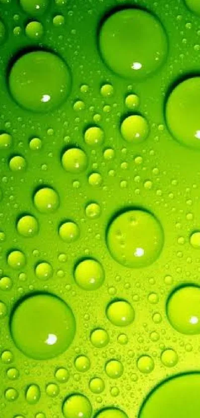 Vibrant lime green bubble texture wallpaper for phones.