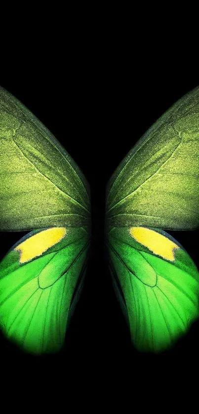 Vibrant green butterfly with detailed wing pattern on a mobile wallpaper.