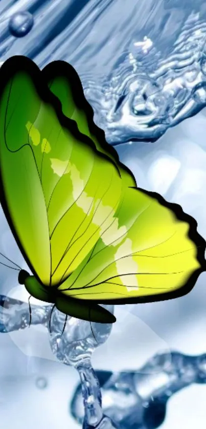 Green butterfly on water splash background wallpaper.