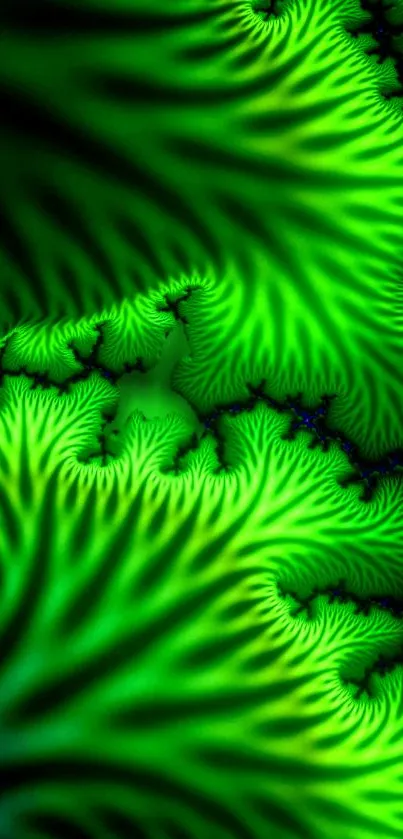 Vibrant green fractal wallpaper with intricate patterns and vivid hues.