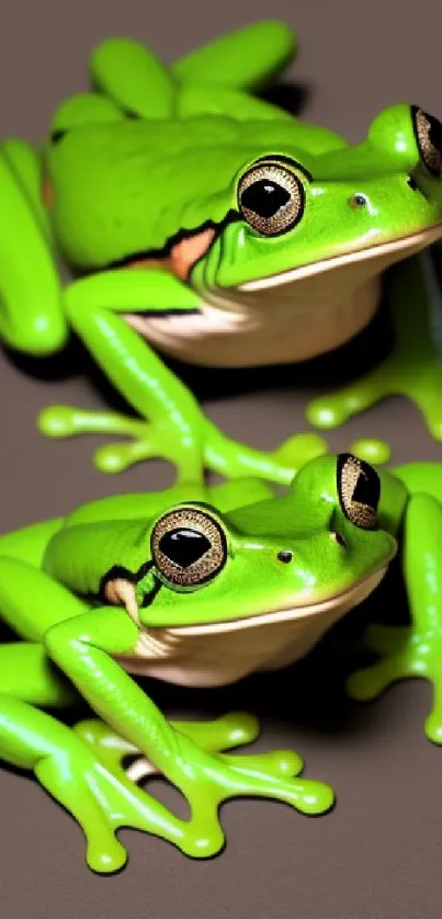 Two vibrant green frogs on a dark background, perfect for a nature-themed phone wallpaper.