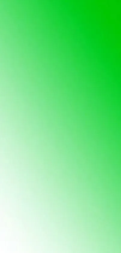 Bright green gradient mobile wallpaper for a fresh and lively look.