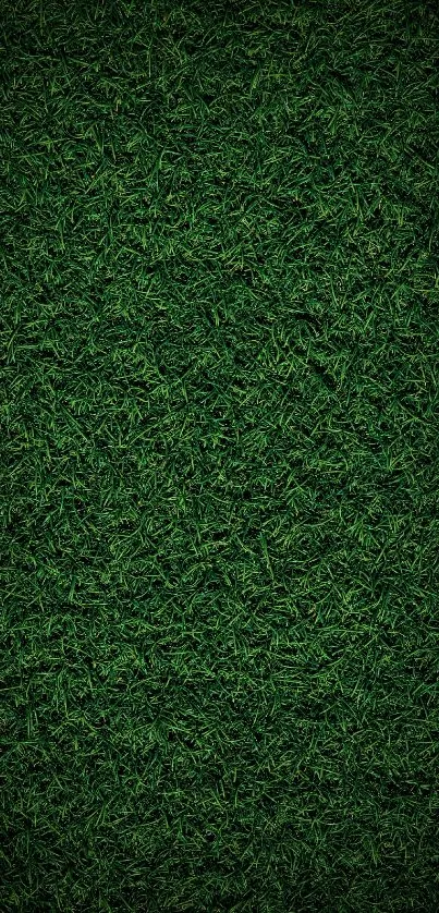Dark green grass texture wallpaper for mobile devices.