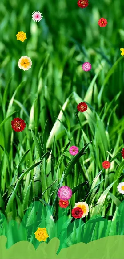 Vibrant green grass mobile phone wallpaper.