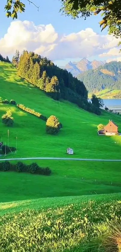 Vibrant green hills with trees and a serene sky, perfect for phone wallpaper.